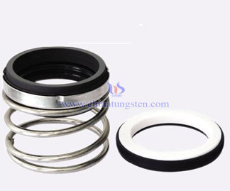 Silicon Carbide Spring Seals Picture
